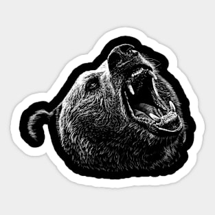 Bear Sticker